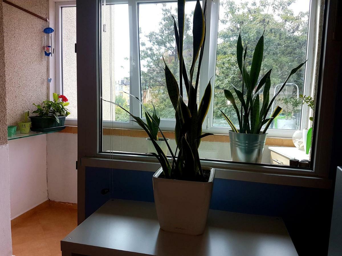 Blue Room Софія Екстер'єр фото